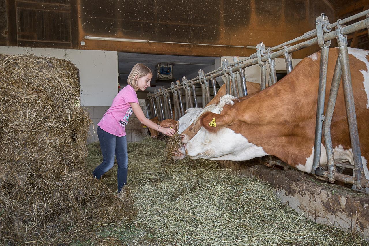 Ferienhof Pfaffenlehen Maria Neustift ภายนอก รูปภาพ